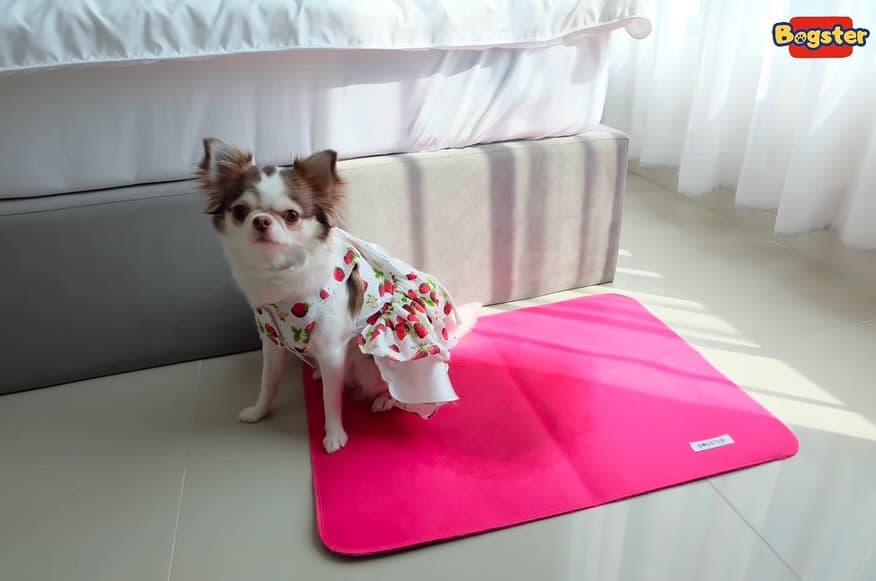 ภาพที่ 1