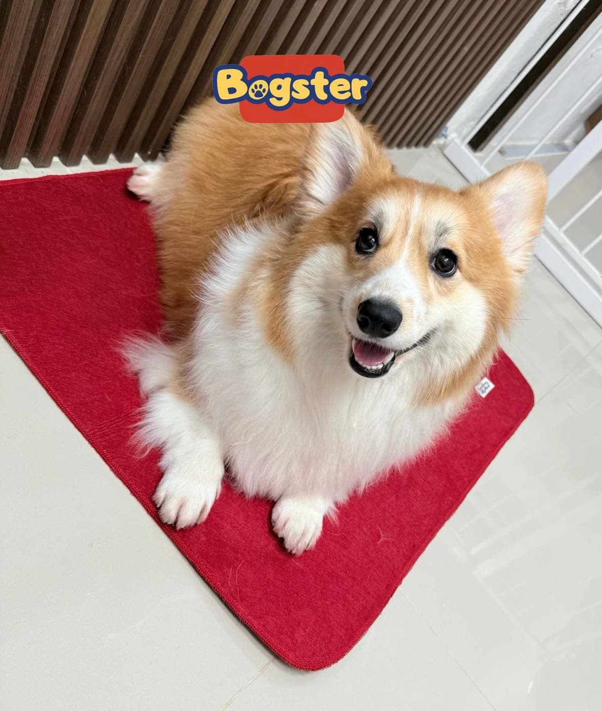 ภาพที่ 3