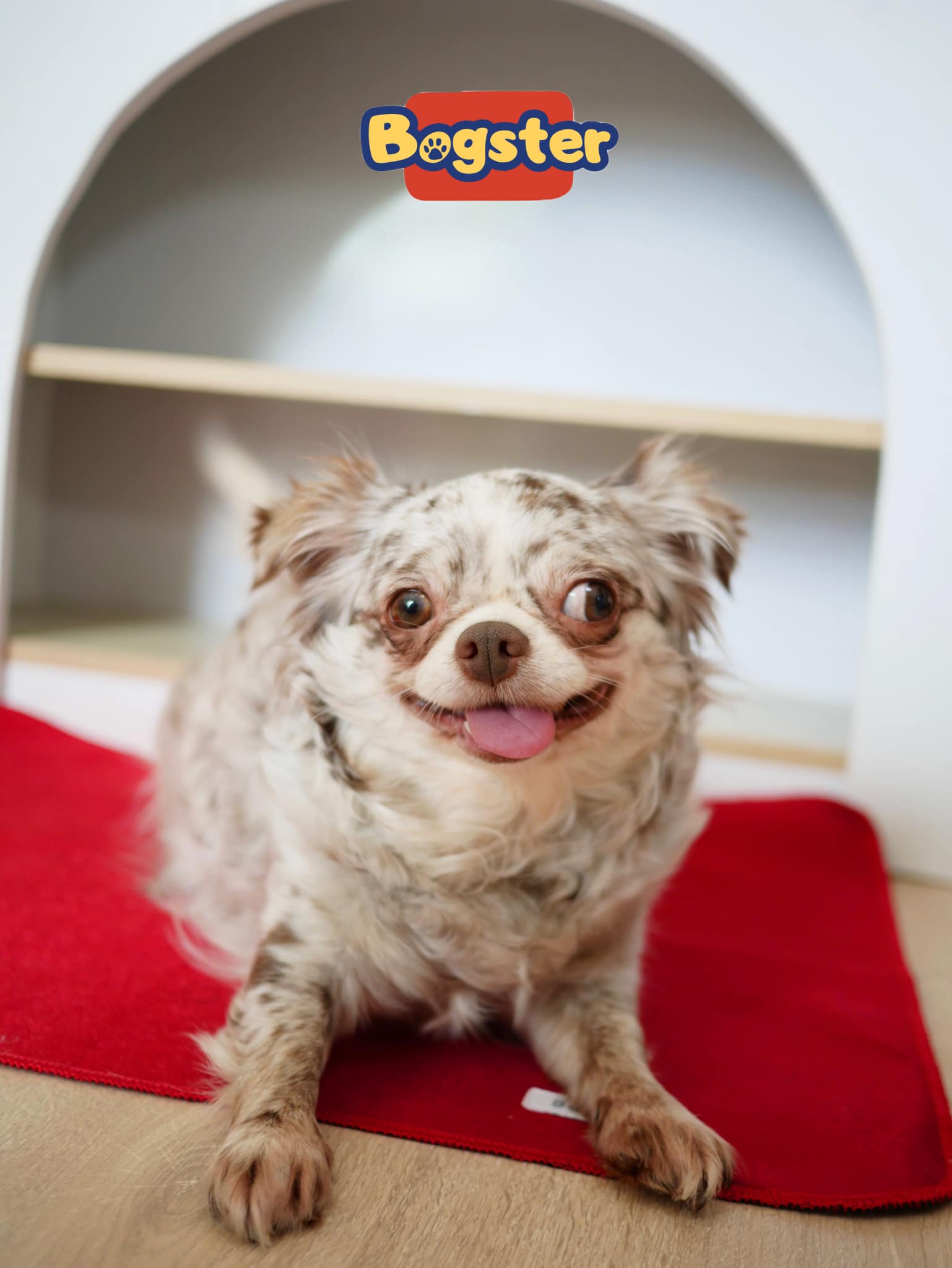 ภาพที่ 4