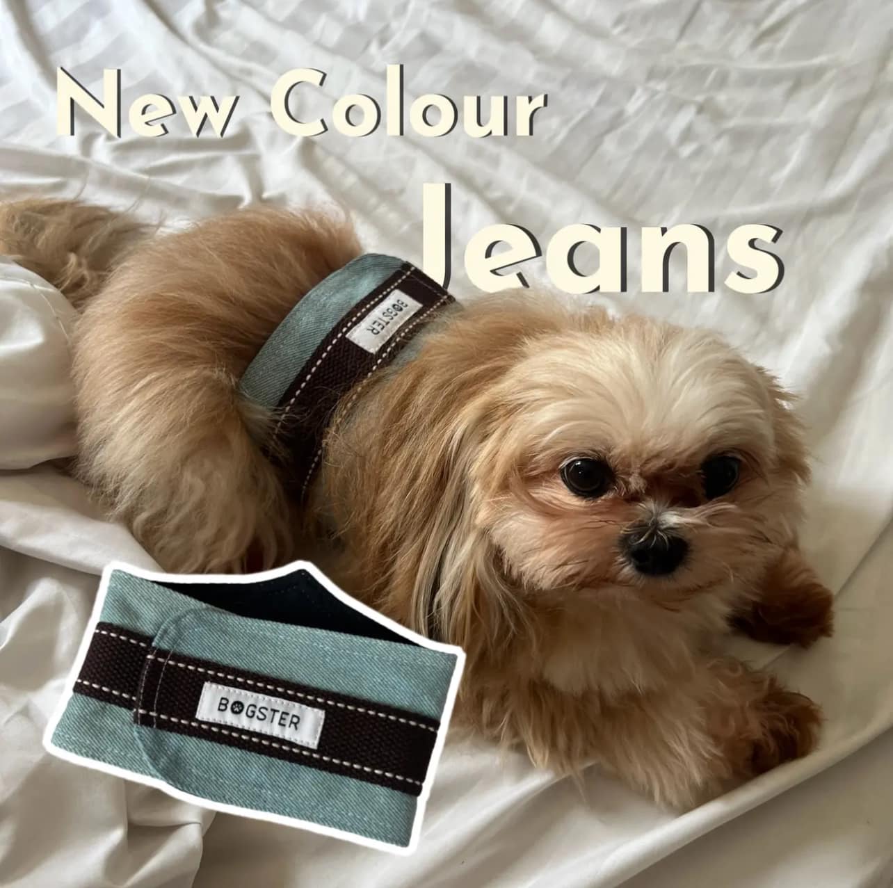 ภาพที่ 5