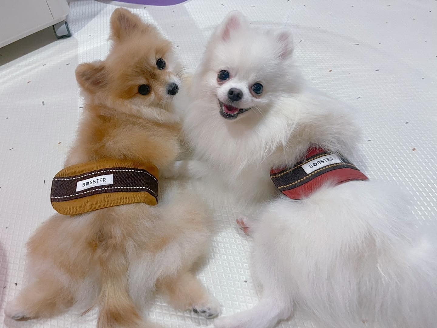 ภาพที่ 6