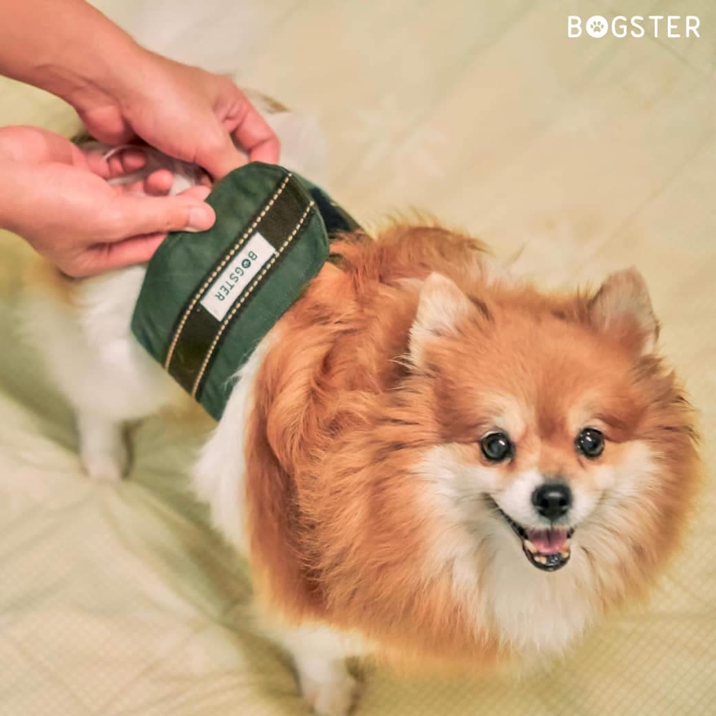 ภาพที่ 7