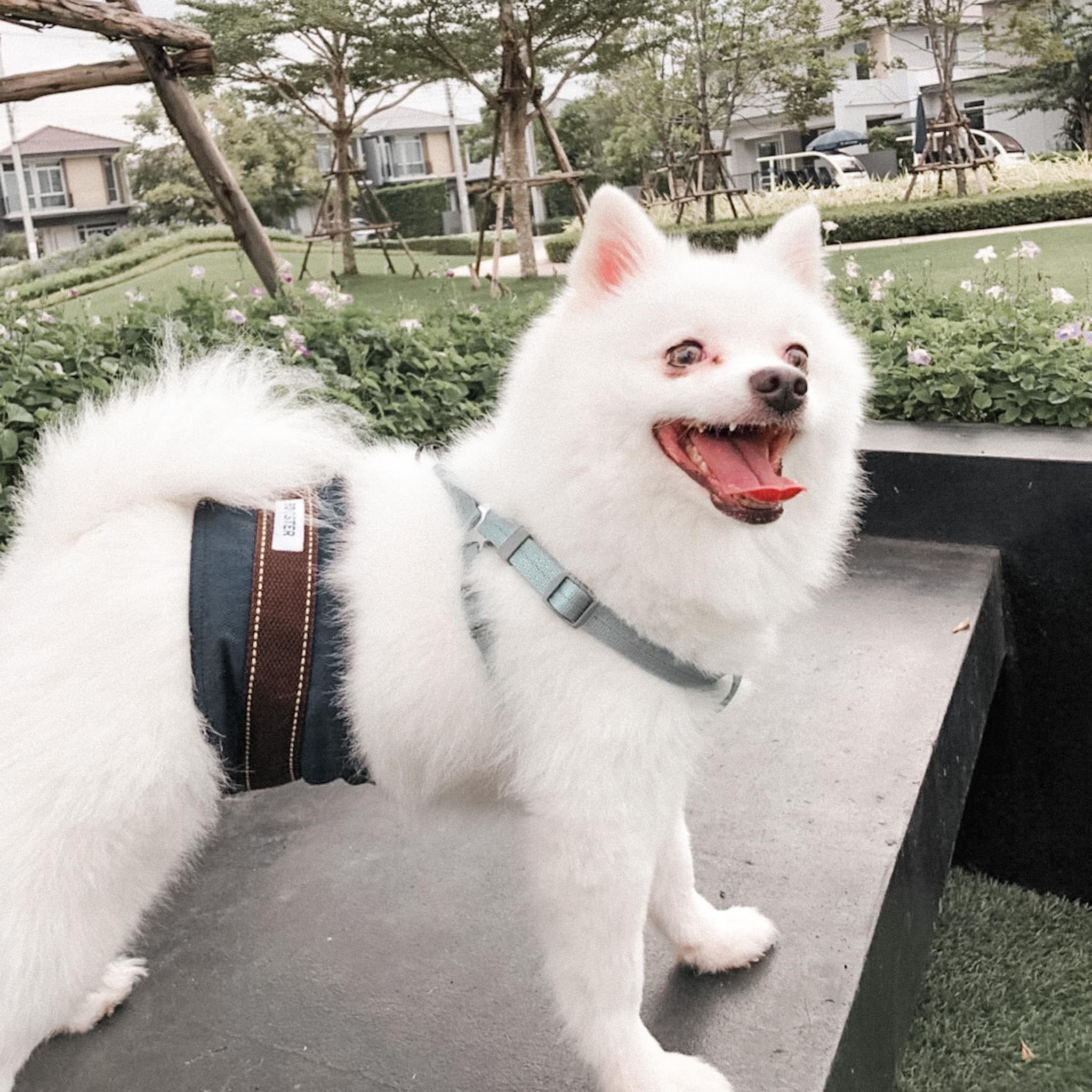 ภาพที่ 8