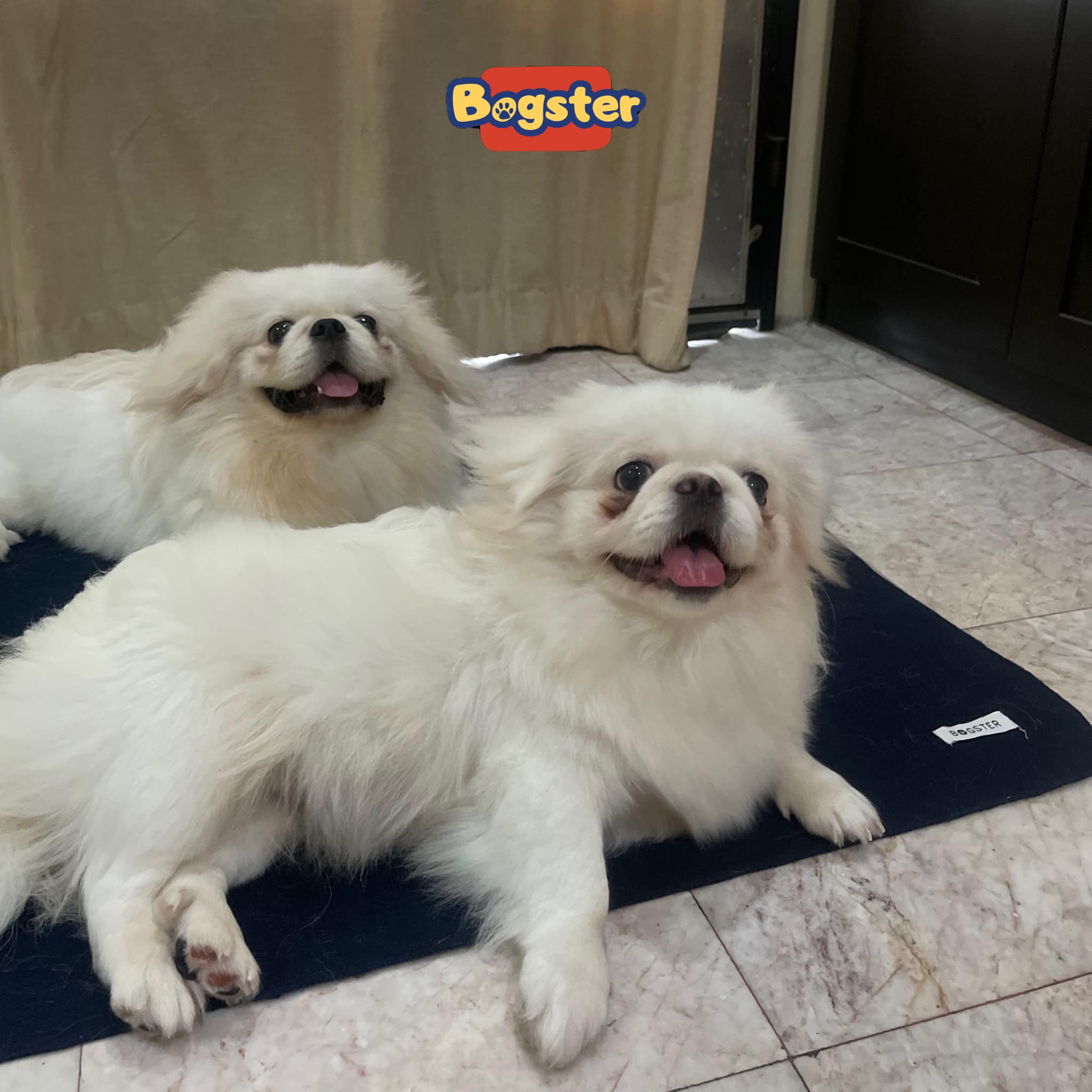 ภาพที่ 9